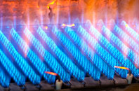 Felin Puleston gas fired boilers